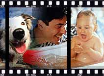 8�� ��������� hi8